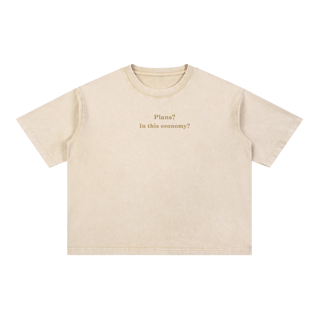 Plans? In This Economy? Embroidered Tee