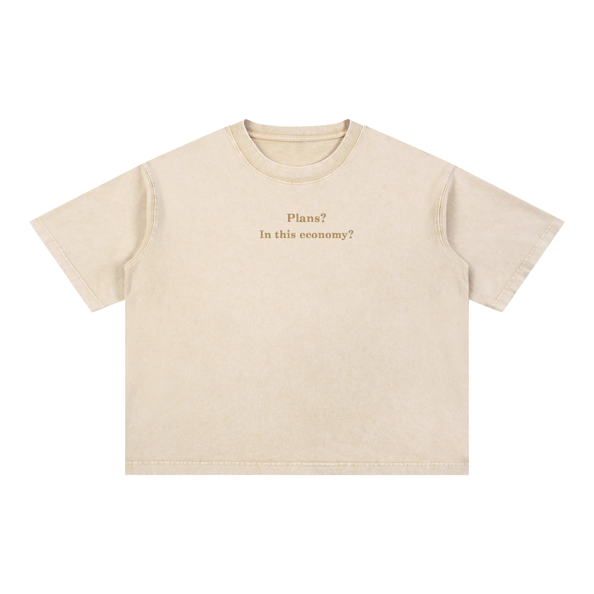 Plans? In This Economy? Embroidered Tee